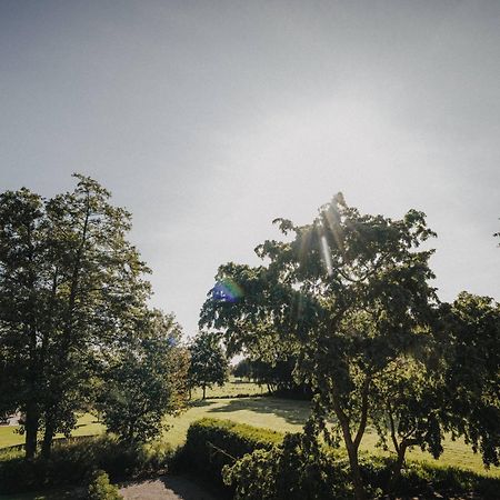 Ferienwohnung Weidenblick Varel Eksteriør billede