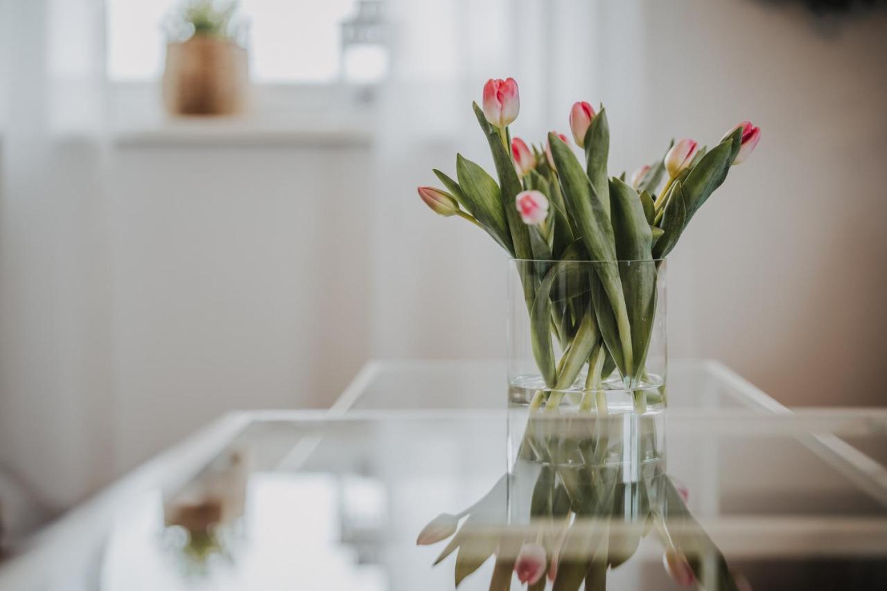 Ferienwohnung Weidenblick Varel Eksteriør billede